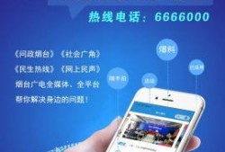 搜索爆料小视频,揭秘网络爆火小视频背后的秘密与现象