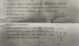 东岛风筝爆料最新消息是真的吗,最新消息真实性揭秘