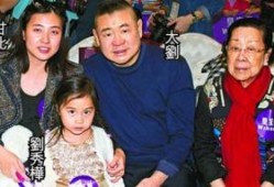 刘銮雄天涯爆料视频大全,揭秘豪门恩怨与商业风云