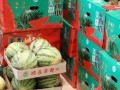 椒江吃瓜最新事件爆料视频,最新爆料视频揭露惊人内幕