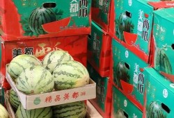 椒江吃瓜最新事件爆料视频,最新爆料视频揭露惊人内幕