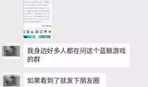 搜索爆料小视频,揭秘网络爆火小视频背后的秘密与现象