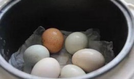 爆料餐馆蒸蛋怎么做视频,轻松学会家常美味