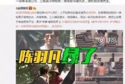 商丘爆料出轨事件最新,真相揭露，情感纠葛再掀波澜
