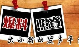 农村国宝爆料新闻,揭秘乡村神秘事件背后的真相
