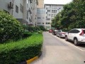 西安花园真实爆料视频,真实事件背后的惊人真相
