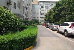 西安花园真实爆料视频,真实事件背后的惊人真相