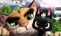 黑猫鲁道夫在线观看,奇幻冒险之旅