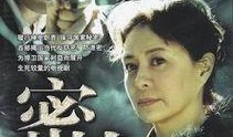电视剧密战在线观看,谍影重重，生死较量
