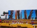 南京近期爆料新闻视频播放,揭秘背后惊人真相