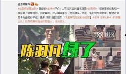 专家惊人爆料视频大全集,视频大全集深度解析