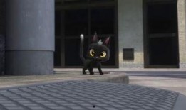 黑猫鲁道夫在线观看,奇幻冒险之旅