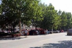 吉林蛟河路霸最新爆料,揭露惊人内幕