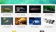 鱼乐圈最新爆料,最新爆料背后的惊人真相