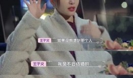 乐言恋爱史爆料视频,一段甜蜜与波折并存的情感旅程
