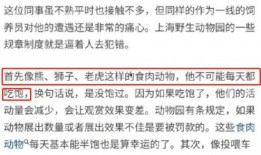 最新爆料事件汇总视频,揭秘热点事件背后的真相与影响
