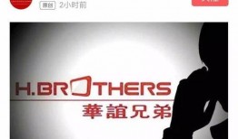 专家惊人爆料视频大全集,视频大全集深度解析
