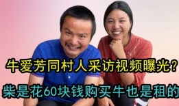 爆料采访视频大全,真实事件背后的故事