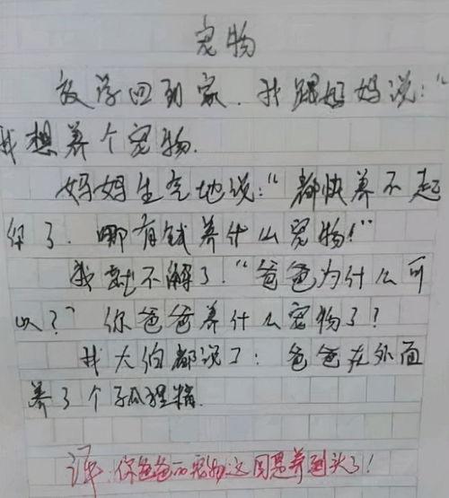吃瓜作文400字,一瓜四议，品鉴生活百态